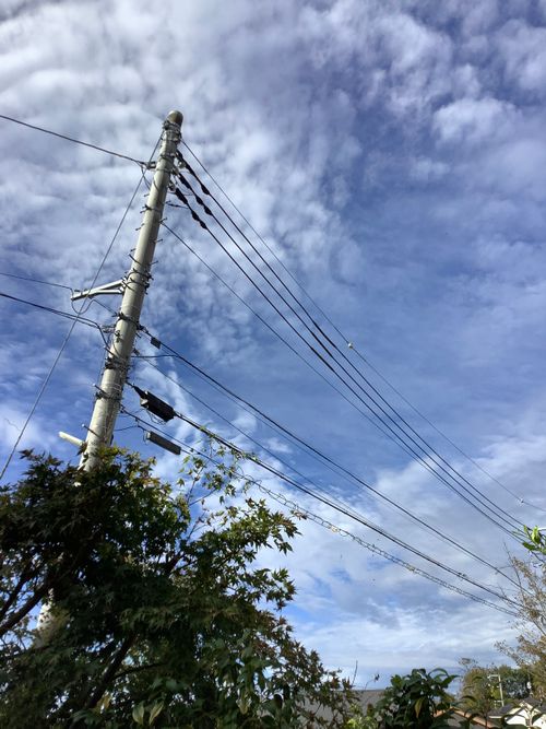 Vol.104 25/NO.23　いつもの場所でお肉焼く‼️ 坂戸市 ソロキャンプ フリーサイト 🔥焚き火🔥さんのキャンプブログ CAMPiii（キャンピー） -キャンプ専用SNS キャンプのすべてがここに集まる-