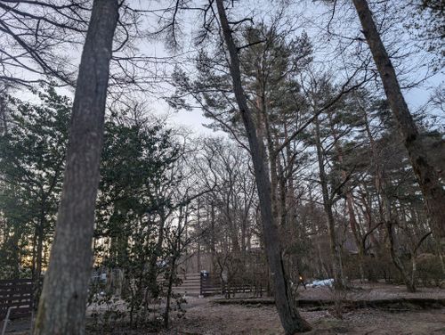 静寂な森のなかで(後篇) 小田急山中湖フォレストコテージ ファミリーキャンプ 好々爺🇯🇵さんのキャンプブログ CAMPiii（キャンピー） -キャンプ専用SNS キャンプのすべてがここに集まる-