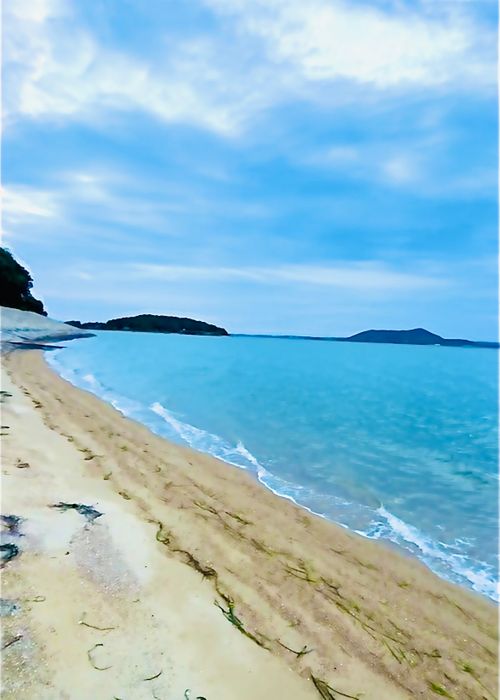 シルバーウィーク&hellip;楽しむはずだったおじ🐰キャン△ in 美濃ヶ浜海浜公園 〜 CAMP NO.214 美濃ケ浜海浜広場 ソロキャンプ ファミリーキャンプ フリーサイト おじキャン△さんのキャンプブログ CAMPiii（キャンピー） -キャンプ専用SNS キャンプのすべてがここに集まる-