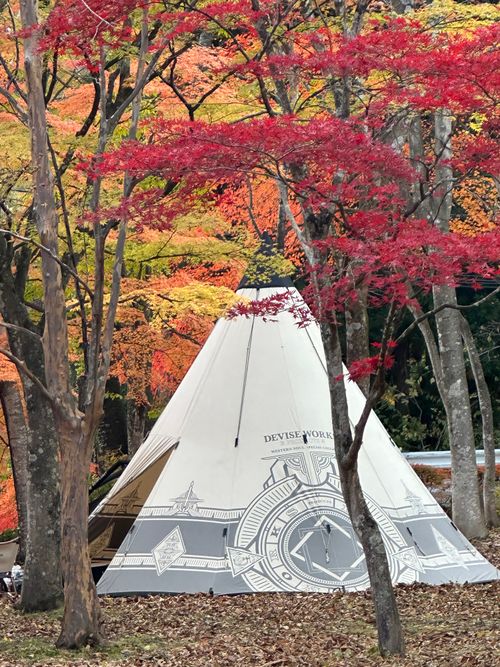 コレぞTHE紅葉キャンプ🍁酒より景色を楽しむキャンプ🏕️ ちばむらオートキャンパーズリゾート（旧高原千葉村） skitさんのキャンプブログ CAMPiii（キャンピー） -キャンプ専用SNS キャンプのすべてがここに集まる-