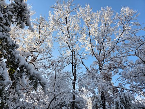 有野実苑オートキャンプ場-13 No.82 有野実苑オートキャンプ場 ポン太マウスキャンプさんのキャンプブログ CAMPiii（キャンピー） -キャンプ専用SNS キャンプのすべてがここに集まる-