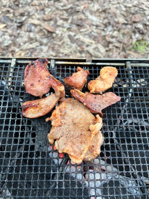 秩父豚ホルモン ソロキャンプ 区画サイト オートサイト アクセルさんのキャンプブログ CAMPiii（キャンピー） -キャンプ専用SNS キャンプのすべてがここに集まる-