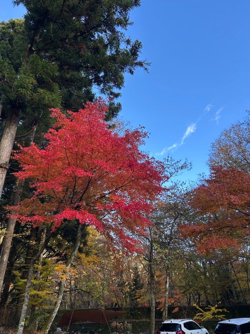 紅葉🍁キャンプ 山伏オートキャンプ場 ソロキャンプ グループキャンプ 区画サイト Genさんのキャンプブログ CAMPiii（キャンピー） -キャンプ専用SNS キャンプのすべてがここに集まる-