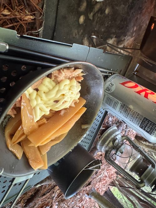 春の土砂降りキャンプ PICA富士西湖 ソロキャンプ 区画サイト フリーサイト まっつんさんのキャンプブログ CAMPiii（キャンピー） -キャンプ専用SNS キャンプのすべてがここに集まる-