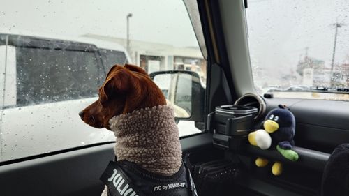 思いがけない雪中キャンプ！ UJackむつざわオートキャンプ場（泊地） ソロキャンプ グループキャンプ 区画サイト まーささんのキャンプブログ CAMPiii（キャンピー） -キャンプ専用SNS キャンプのすべてがここに集まる-