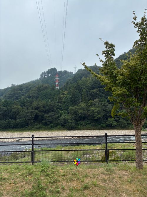 2025年11回目、川遊びキャン🏄🏻♂️ 江の川カヌー公園さくぎ ファミリーキャンプ 区画サイト オートサイト わいげさんのキャンプブログ CAMPiii(キャンピー) -キャンプ専用SNS キャンプのすべてがここに集まる-