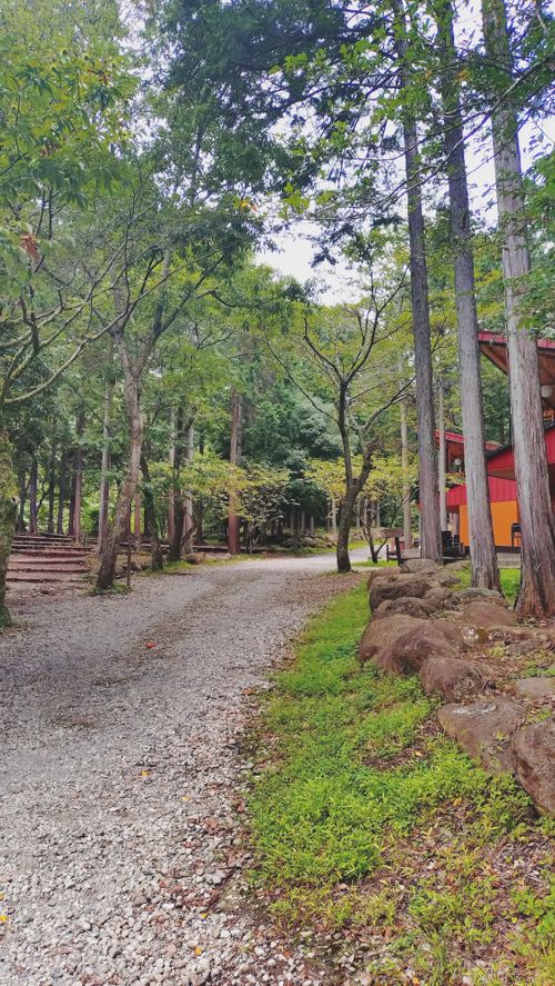 第３０回キャンプ⛺️桃沢キャンプ場 桃沢キャンプ場 ソロキャンプ 区画サイト KUMA21さんのキャンプブログ CAMPiii（キャンピー） -キャンプ専用SNS キャンプのすべてがここに集まる-