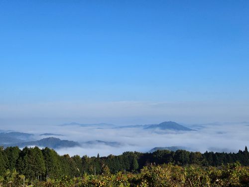 雲海キャンプ➃は雨☔ 花の駅せら オートキャンプ場 ソロキャンプ 区画サイト オートサイト 三代目とっしぃさんのキャンプブログ CAMPiii（キャンピー） -キャンプ専用SNS キャンプのすべてがここに集まる-