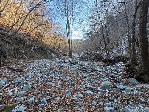 2026キャンプ部初め 道志の森キャンプ場 グループキャンプ フリーサイト もるがんさんのキャンプブログ CAMPiii（キャンピー） -キャンプ専用SNS キャンプのすべてがここに集まる-