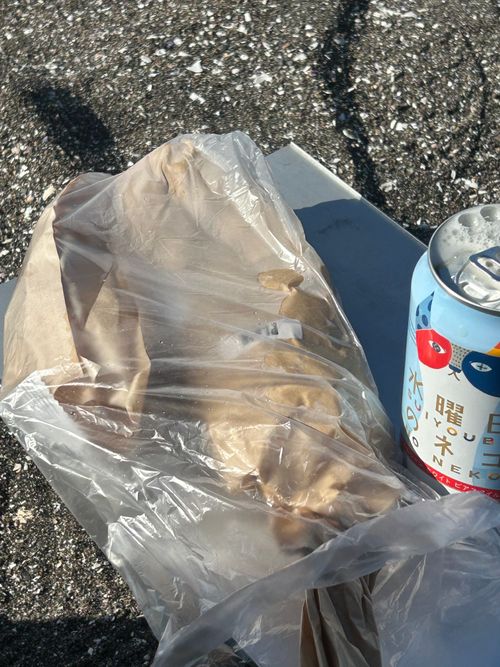 東京湾に残された唯一の自然島にてチェアリング 猿島 ソロキャンプ フリーサイト Genさんのキャンプブログ CAMPiii（キャンピー） -キャンプ専用SNS キャンプのすべてがここに集まる-