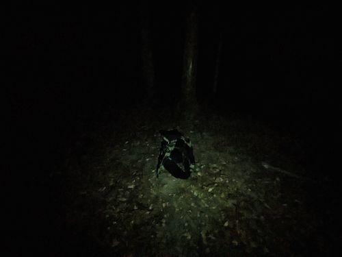 今年初のお泊まりキャンプ 亀岡市 ソロキャンプ フリーサイト ぞのさんさんのキャンプブログ CAMPiii（キャンピー） -キャンプ専用SNS キャンプのすべてがここに集まる-