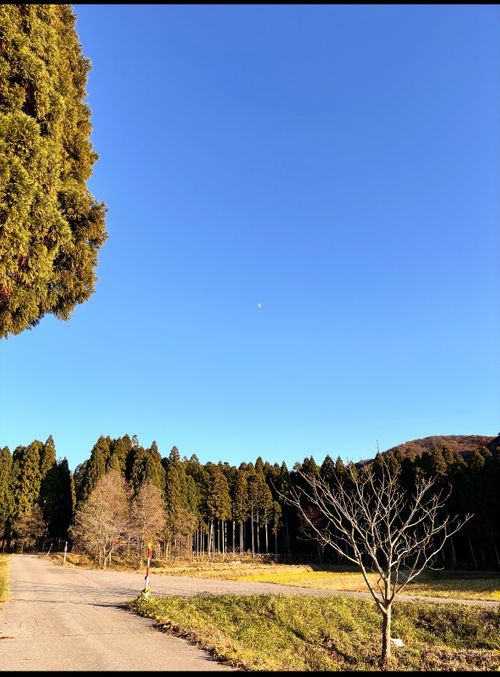 ソロ欲に駆られ。 デルフリキャンプ エンジョイドローン上山田キャンプ場 ソロキャンプ 区画サイト オートサイト あやぴーさんのキャンプブログ CAMPiii（キャンピー） -キャンプ専用SNS キャンプのすべてがここに集まる-