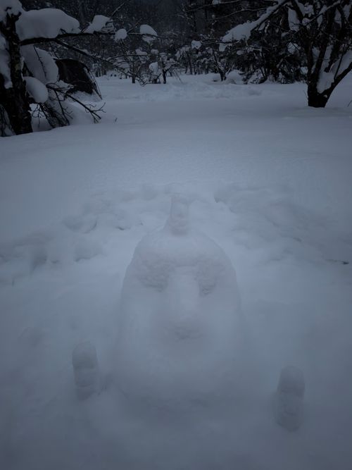 大人だけど雪遊び全振りキャンプ⛄️❄️🗿 白川郷ひらせ温泉キャンプサイト グループキャンプ フリーサイト ぐうたら夫婦さんのキャンプブログ CAMPiii（キャンピー） -キャンプ専用SNS キャンプのすべてがここに集まる-