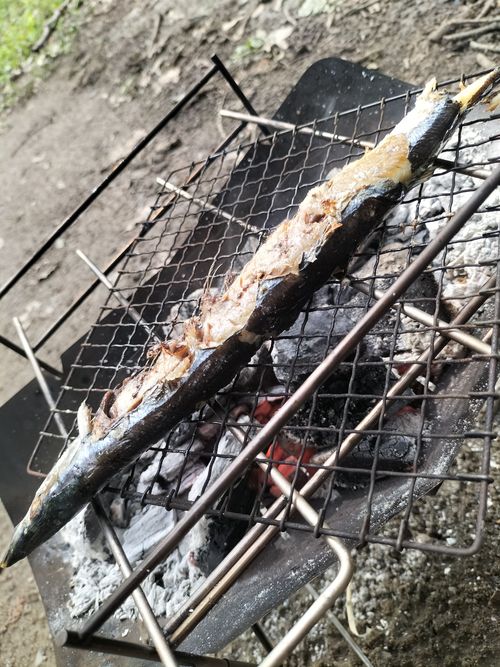主猫とのひととき 月川荘キャンプ場 林間サイト ソロキャンプ フリーサイト ぼっちオヤジさんのキャンプブログ CAMPiii（キャンピー） -キャンプ専用SNS キャンプのすべてがここに集まる-