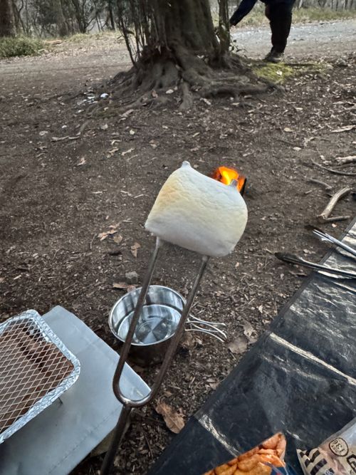 初めてのチャリキャンプ！🚲🏕 柳瀬キャンプ場 ファミリーキャンプ フリーサイト まちさんのキャンプブログ CAMPiii（キャンピー） -キャンプ専用SNS キャンプのすべてがここに集まる-