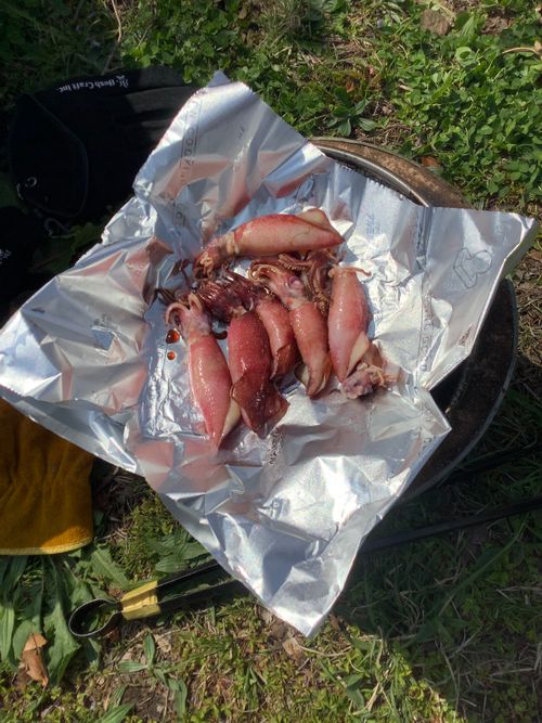 Vol.114 26/NO.04 お花見しながらお肉焼くぅ‼️ 坂戸市 ソロキャンプ フリーサイト 🔥焚き火🔥さんのキャンプブログ CAMPiii（キャンピー） -キャンプ専用SNS キャンプのすべてがここに集まる-