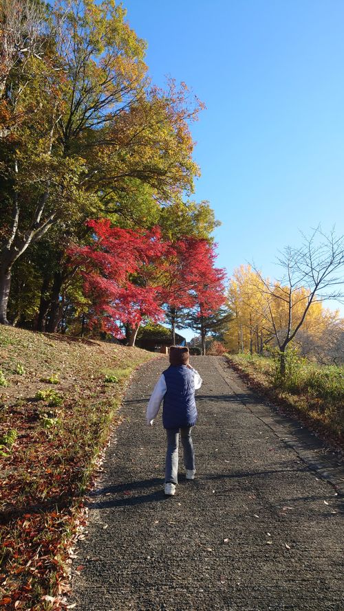 高規格キャンプ場 RECAMP常総 ファミリーキャンプ 区画サイト アークさんのキャンプブログ CAMPiii（キャンピー） -キャンプ専用SNS キャンプのすべてがここに集まる-