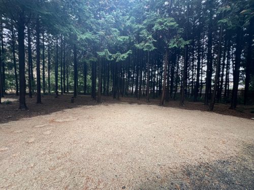 ワラサンキャンプサイト ワラサンキャンプサイト ソロキャンプ 区画サイト Maaaaaa!さんのキャンプブログ CAMPiii（キャンピー） -キャンプ専用SNS キャンプのすべてがここに集まる-