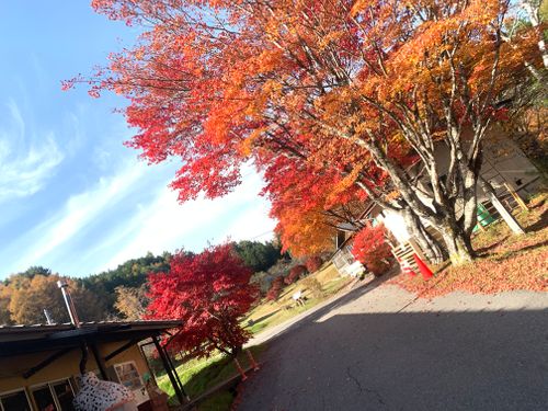 CAMPiii（キャンピー） うてまるさんのキャンプブログ 日本一の星空を求めて 銀河もみじキャンプ場
