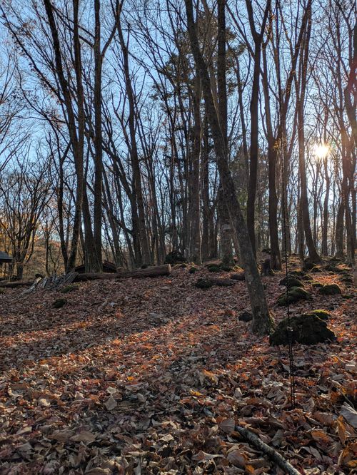 ２週連続でアカイケ キャンプ アカイケ ソロキャンプ フリーサイト アニさんのキャンプブログ CAMPiii（キャンピー） -キャンプ専用SNS キャンプのすべてがここに集まる-