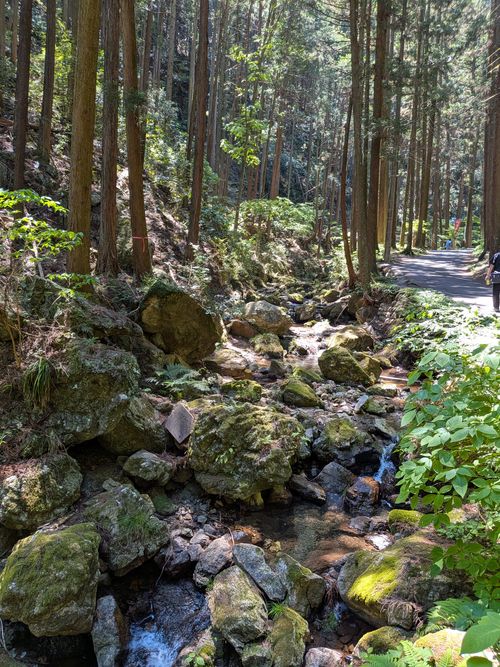 オークス、ダービー 取れなかった (ТoТ) ともえ川Park ソロキャンプ グループキャンプ 区画サイト フリーサイト オートサイト IZUIZUさんのキャンプブログ CAMPiii（キャンピー） -キャンプ専用SNS キャンプのすべてがここに集まる-