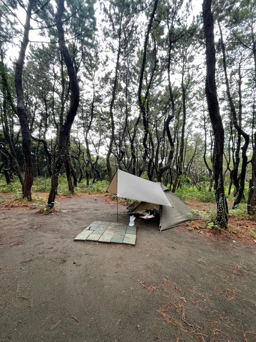海岸通りが気持ちいい!徒歩ソロで行く、ちがさき柳島キャンプ場 柳島キャンプ場 ソロキャンプ 区画サイト ma9さんのキャンプブログ CAMPiii(キャンピー) -キャンプ専用SNS キャンプのすべてがここに集まる-