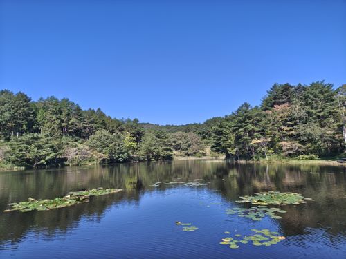 台風一過 あいの沢オートキャンプ場 ソロキャンプ フリーサイト けい＠福島県さんのキャンプブログ CAMPiii（キャンピー） -キャンプ専用SNS キャンプのすべてがここに集まる-