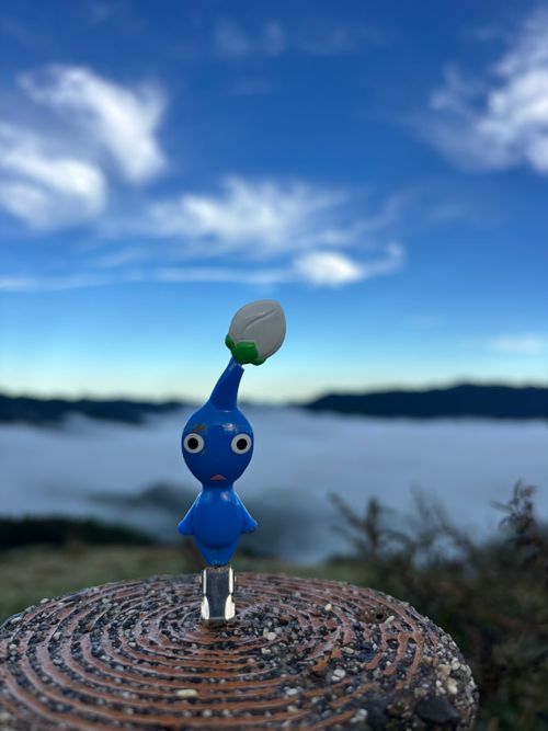 お尻がロケット🚀宇宙旅行は一晩にしてならず 姫鶴平キャンプ場 グループキャンプ とのさんのキャンプブログ CAMPiii（キャンピー） -キャンプ専用SNS キャンプのすべてがここに集まる-