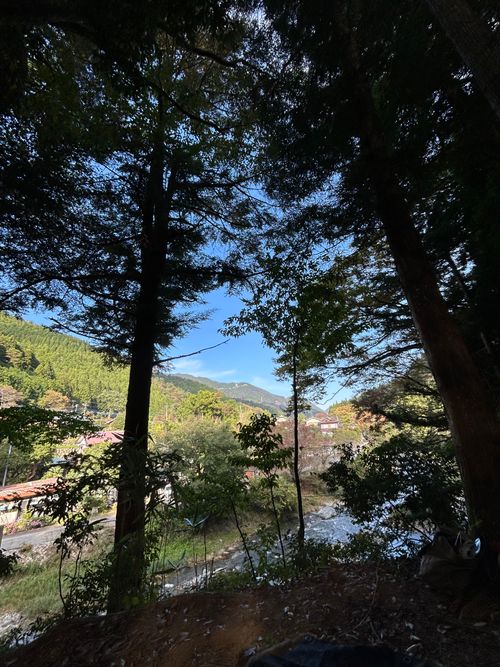 久しぶりのWOODSMAN WOODSMAN CAMPGROUND ソロキャンプ フリーサイト Genさんのキャンプブログ CAMPiii（キャンピー） -キャンプ専用SNS キャンプのすべてがここに集まる-
