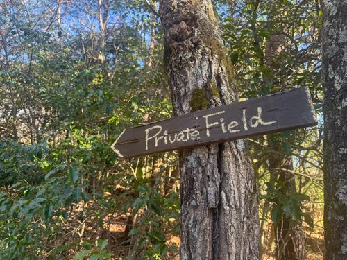 やっぱりキャンプは冬❣️ PICA富士西湖 ソロキャンプ グループキャンプ 区画サイト まっつんさんのキャンプブログ CAMPiii（キャンピー） -キャンプ専用SNS キャンプのすべてがここに集まる-