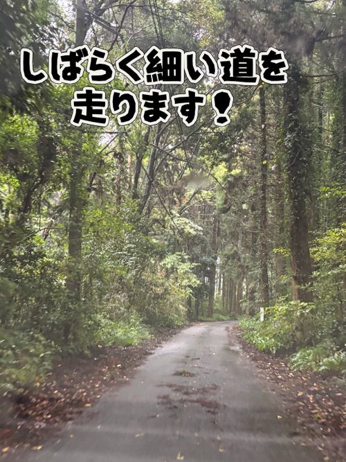 秋の大グルキャンイベント‼️𝙸𝙽 千葉県 オートキャンプ悠遊の丘 グループキャンプ フリーサイト オートサイト Oniyomeさんのキャンプブログ CAMPiii(キャンピー) -キャンプ専用SNS キャンプのすべてがここに集まる-