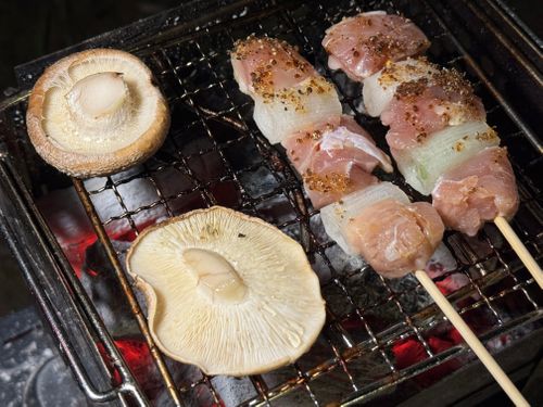 728日後が幸せだったって話。 赤目山水園 キャンプサイトかわせみ ファミリーキャンプ 区画サイト 野に出て飯を食う（野飯）さんのキャンプブログ CAMPiii（キャンピー） -キャンプ専用SNS キャンプのすべてがここに集まる-