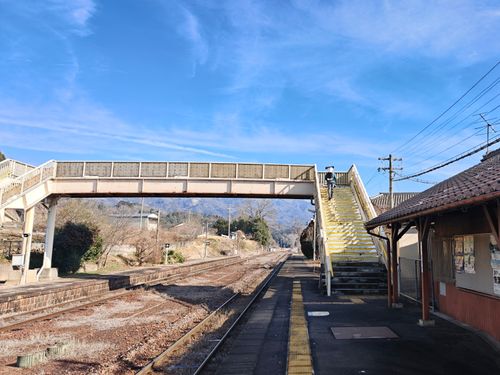 シンシンとした雪の後はニンニンと&hellip; やぶっちゃキャンプ場 ソロキャンプ グループキャンプ オートサイト ぞのさんさんのキャンプブログ CAMPiii（キャンピー） -キャンプ専用SNS キャンプのすべてがここに集まる-