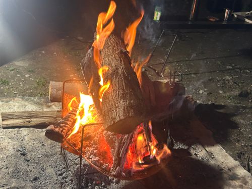 春うらら。千葉にゃんこ王国(^^) 花はなの里 グループキャンプ 区画サイト KOBApapaさんのキャンプブログ CAMPiii（キャンピー） -キャンプ専用SNS キャンプのすべてがここに集まる-