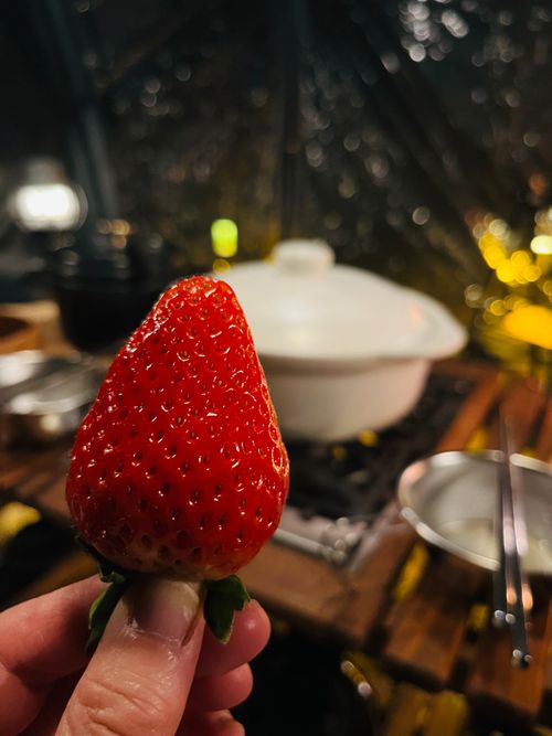 これがやりたかったよ！富士山とTPU🤩✨✨✨まさかの雪にびっくり5回目のふもとっぱら🗻 ふもとっぱらキャンプ場 ファミリーキャンプ フリーサイト Izumiさんのキャンプブログ CAMPiii（キャンピー） -キャンプ専用SNS キャンプのすべてがここに集まる-