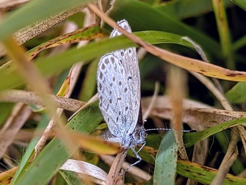 メッタメタにしてやんよ！ 知明湖キャンプ場 ソロキャンプ フリーサイト ぞのさんさんのキャンプブログ CAMPiii（キャンピー） -キャンプ専用SNS キャンプのすべてがここに集まる-