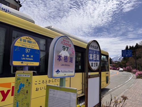 キャンプ解禁🎉＆乾杯🍻青木ヶ原樹海を歩く!? 「フラット登山」第2弾 DOTEKAGE CAMP GROUND 区画サイト Jimko☆さんのキャンプブログ CAMPiii（キャンピー） -キャンプ専用SNS キャンプのすべてがここに集まる-