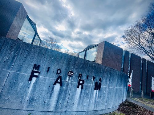 振替誕生日🎂を祝うおじおばうさキャン△ in 阿武川温泉公園 〜 CAMP NO. 萩阿武川温泉公園（キャンプ可） ファミリーキャンプ ソロキャンプ フリーサイト おじキャン△さんのキャンプブログ CAMPiii（キャンピー） -キャンプ専用SNS キャンプのすべてがここに集まる-