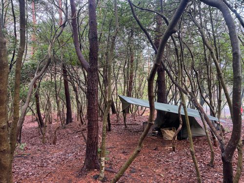 CAMPiii(キャンピー) まっつんさんのキャンプブログ 春の土砂降りキャンプ PICA富士西湖