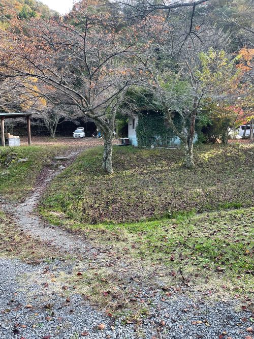 同僚と道志村で2泊3日のふたりキャンプ！ 道志村観光農園オートキャンプ場 ソロキャンプ グループキャンプ フリーサイト ma9さんのキャンプブログ CAMPiii（キャンピー） -キャンプ専用SNS キャンプのすべてがここに集まる-