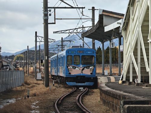 シンシンとした雪の後はニンニンと&hellip; やぶっちゃキャンプ場 ソロキャンプ グループキャンプ オートサイト ぞのさんさんのキャンプブログ CAMPiii（キャンピー） -キャンプ専用SNS キャンプのすべてがここに集まる-