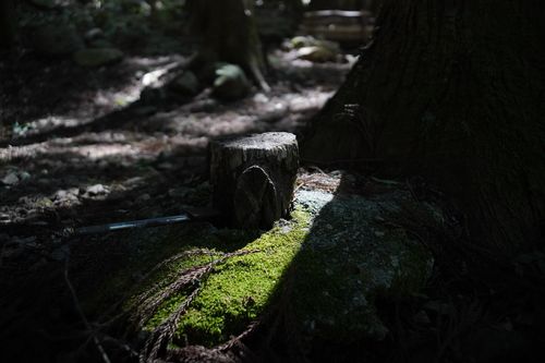 久しぶりのwoodsman WOODSMAN CAMPGROUND ソロキャンプ フリーサイト 週末スナフキンさんのキャンプブログ CAMPiii（キャンピー） -キャンプ専用SNS キャンプのすべてがここに集まる-