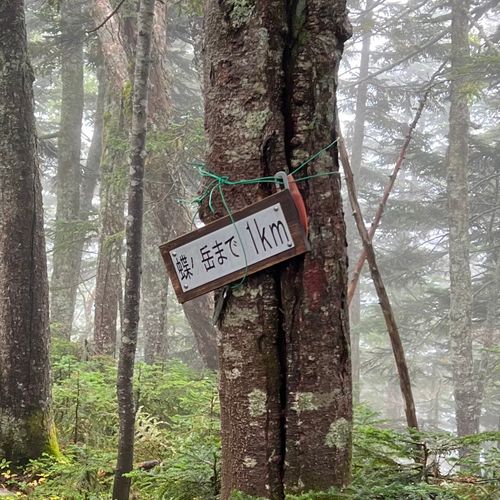 I miss HOTAKA⛰️ 徳沢キャンプ場 ソロキャンプ フリーサイト shuさんのキャンプブログ CAMPiii(キャンピー) -キャンプ専用SNS キャンプのすべてがここに集まる-