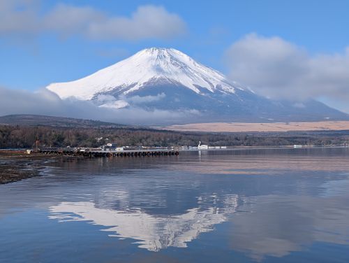 静寂な森のなかで(後篇) 小田急山中湖フォレストコテージ ファミリーキャンプ 好々爺🇯🇵さんのキャンプブログ CAMPiii（キャンピー） -キャンプ専用SNS キャンプのすべてがここに集まる-