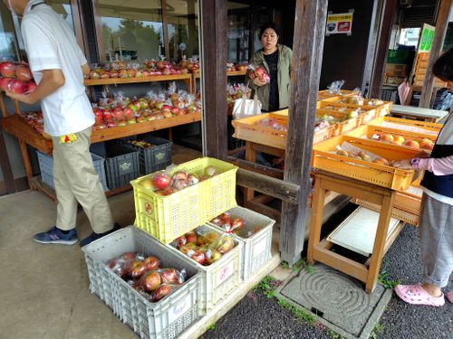 CAMP+iizuna　飯綱東高原キャンプ場 camp＋iizuna（キャンプラス飯綱） ファミリーキャンプ オートサイト ぽぽさんさんのキャンプブログ CAMPiii（キャンピー） -キャンプ専用SNS キャンプのすべてがここに集まる-