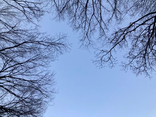 2026年スタート１月キャンプ【2日目】 ニューサンピア埼玉おごせ ソロキャンプ オートサイト boorishcamperさんのキャンプブログ CAMPiii（キャンピー） -キャンプ専用SNS キャンプのすべてがここに集まる-