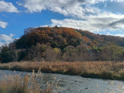 氷点下  軍幕キャンプ 角田大橋河川敷 ソロキャンプ フリーサイト ウエィダーさんのキャンプブログ CAMPiii（キャンピー） -キャンプ専用SNS キャンプのすべてがここに集まる-