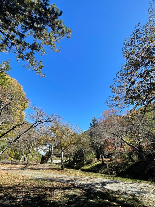 同僚と道志村で2泊3日のふたりキャンプ！ 道志村観光農園オートキャンプ場 ソロキャンプ グループキャンプ フリーサイト ma9さんのキャンプブログ CAMPiii（キャンピー） -キャンプ専用SNS キャンプのすべてがここに集まる-