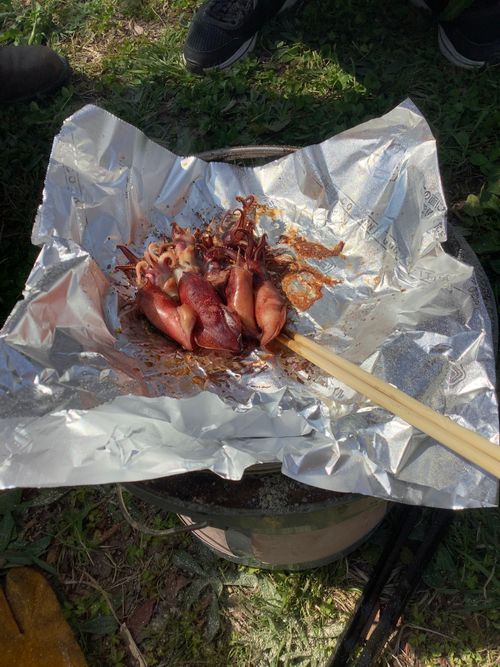 Vol.114 26/NO.04 お花見しながらお肉焼くぅ‼️ 坂戸市 ソロキャンプ フリーサイト 🔥焚き火🔥さんのキャンプブログ CAMPiii（キャンピー） -キャンプ専用SNS キャンプのすべてがここに集まる-