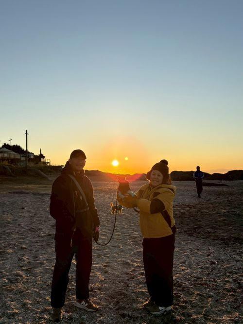恒例の新春ファミキャン！ THE DOG DEPT GARDEN RESORT-安房白浜- ファミリーキャンプ グループキャンプ 区画サイト まーささんのキャンプブログ CAMPiii（キャンピー） -キャンプ専用SNS キャンプのすべてがここに集まる-